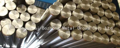 Barra in acciaio inossidabile ASTM 2507 (SS ASTM S32750/ EN X2CrNiMoN25
